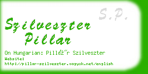 szilveszter pillar business card